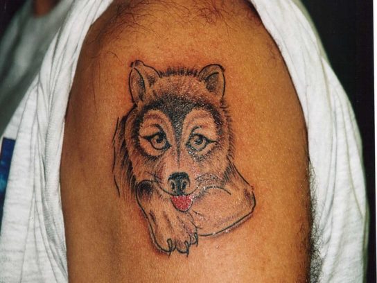 Tatouage Loup