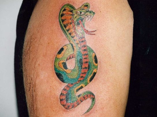 Tatouage serpent