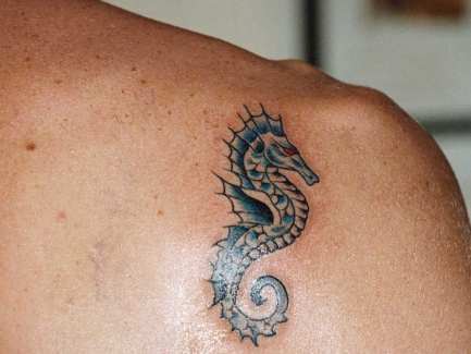 Tatouage Hippocampe