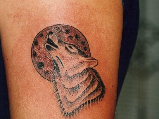 Tatouage Loup