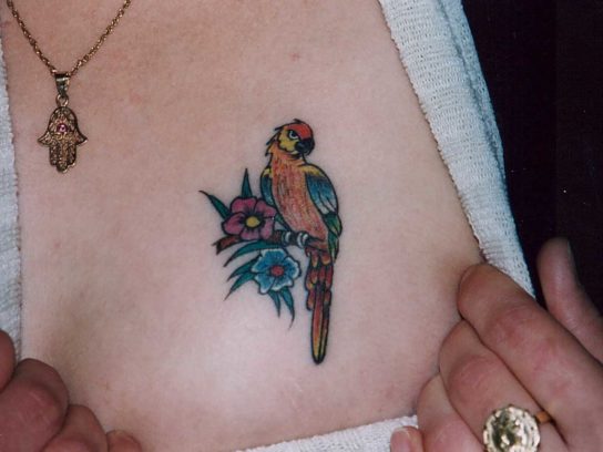 Tatouage Perroquet