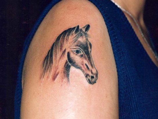 Tatouage Cheval