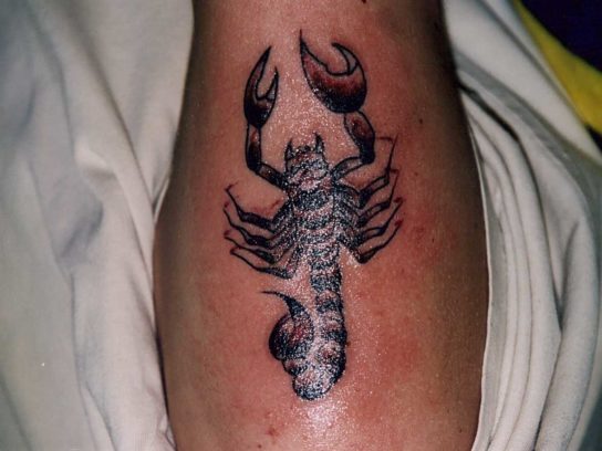 Tatouage Scorpion