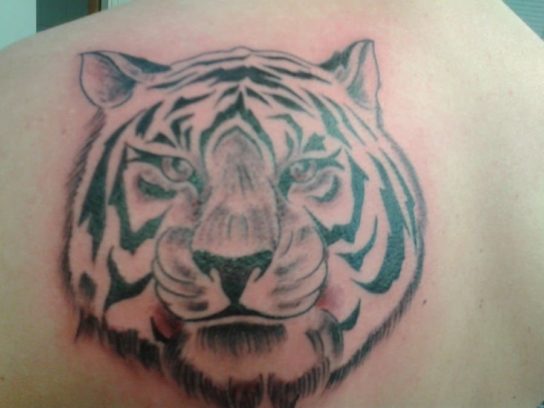 Tatouage Animal